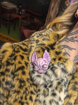 Kitku